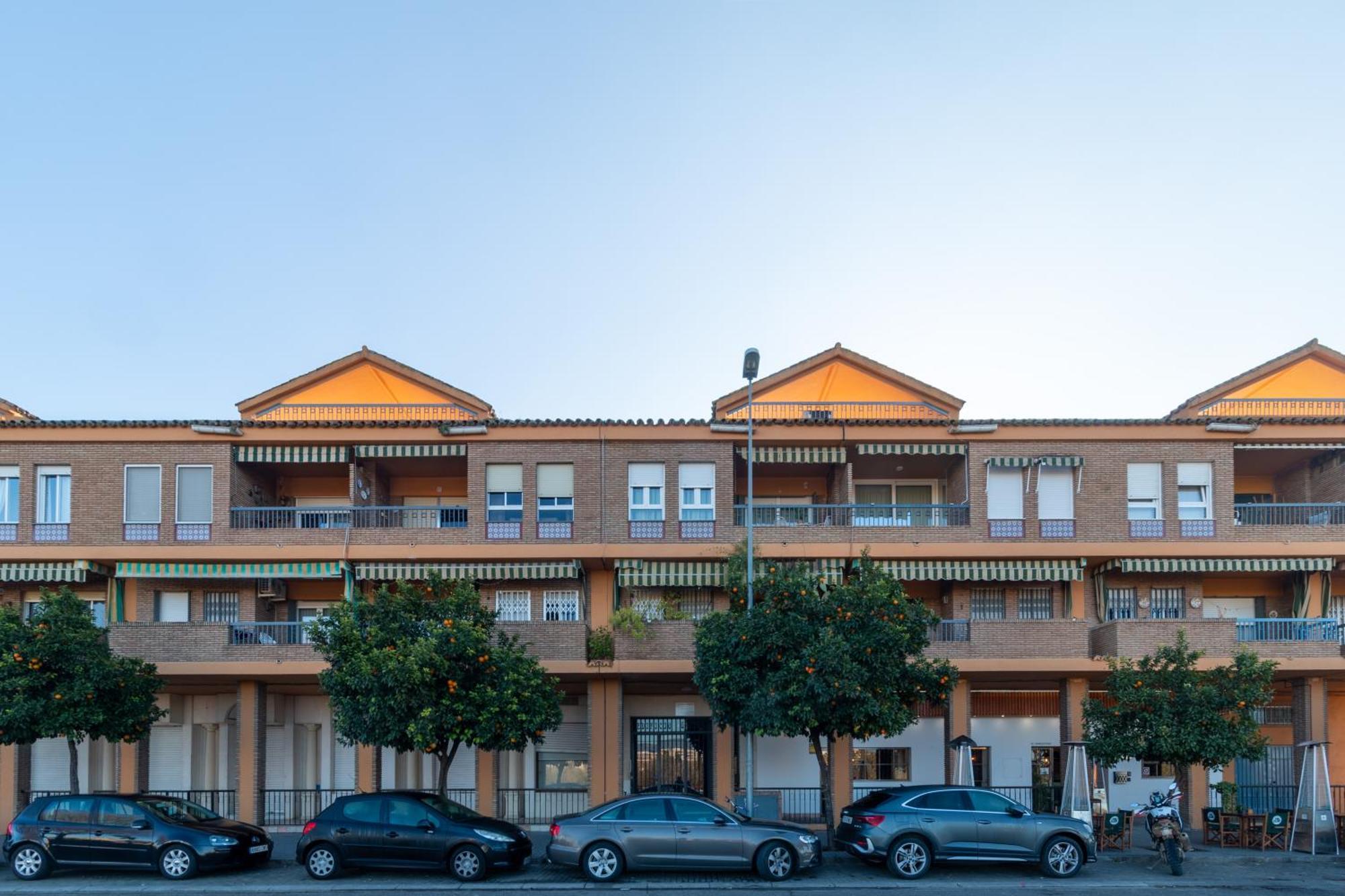 Atico Puente Romano Parking Gratuito Κόρδοβα Εξωτερικό φωτογραφία